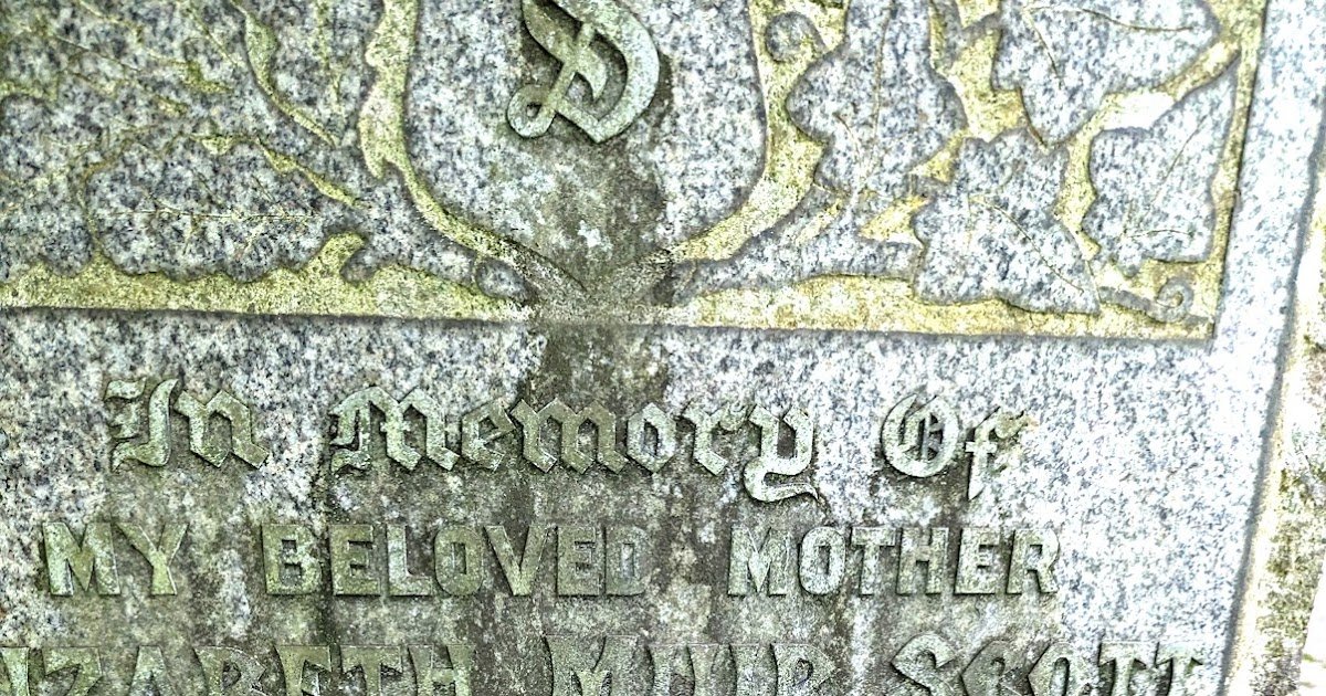 Scott Ancestry Research Tools Unlock Your Family Tree